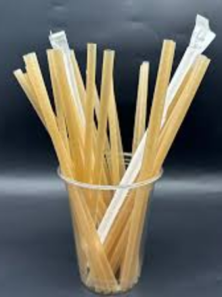 Sugarcane Straws